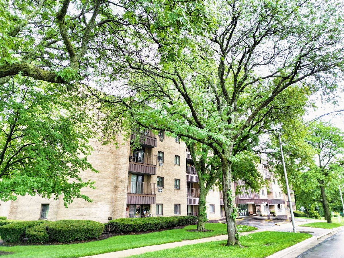 Condominiums Sold Finley Place Lombard Illinois, 1133 Finley