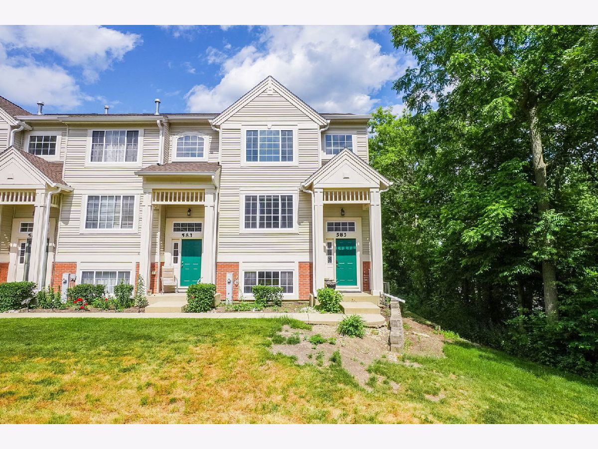 Townhomes & Condos & Homes Sold Cary Woods Cary Illinois, 585 Cary Woods