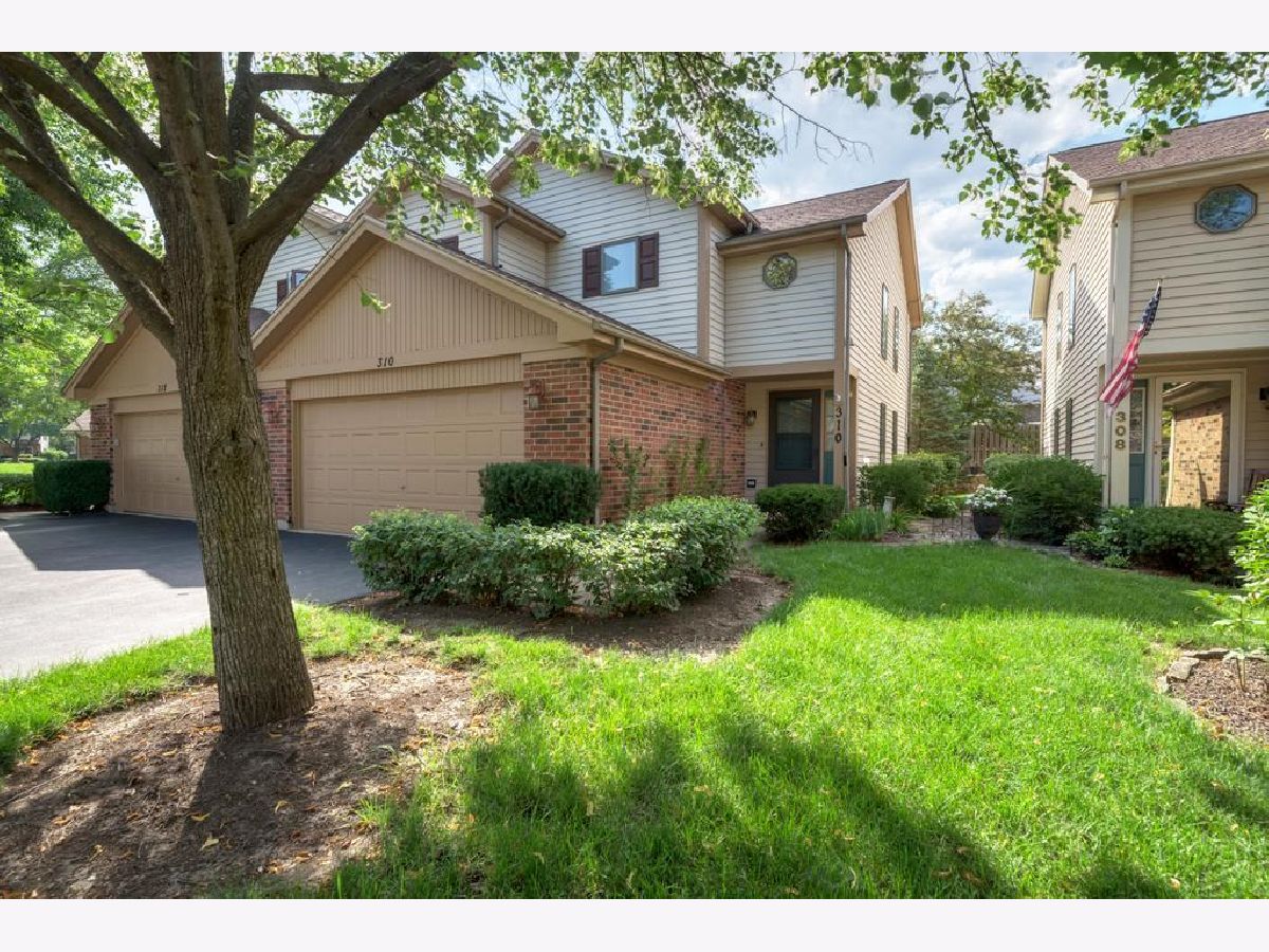 Townhomes & Condos Sold Carlton Court Westmont Illinois, 310 Cromwell