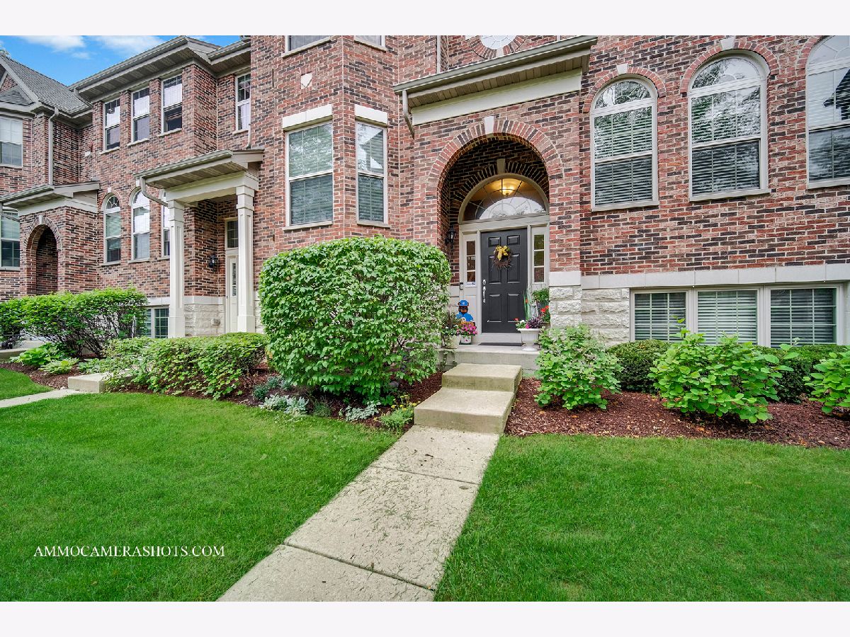 Townhomes Sold Shelburne Farms Winfield Illinois, 27W712 Meadowview