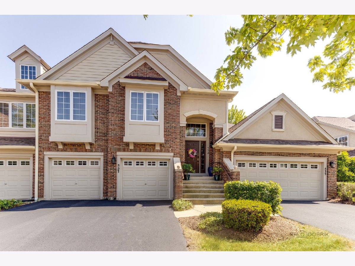 Townhomes & Condos Sold Saddlebrook Vernon Hills Illinois, 557 Saddlebrook