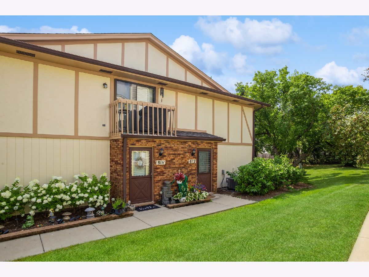 Townhomes & Homes Rented Weathersfield North Schaumburg Illinois, 812 Dracut