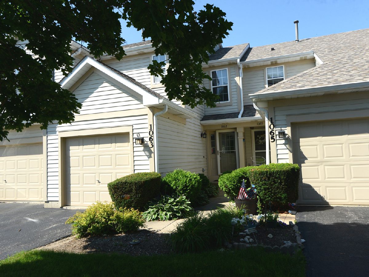 Townhomes & Condos Sold Remington Farms Lake In The Hills Illinois, 1063 Horizon Rdg