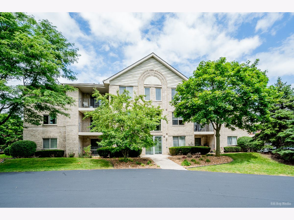 Condominiums Sold Ridgepoint Oak Forest Illinois, 6820 Ridge Point