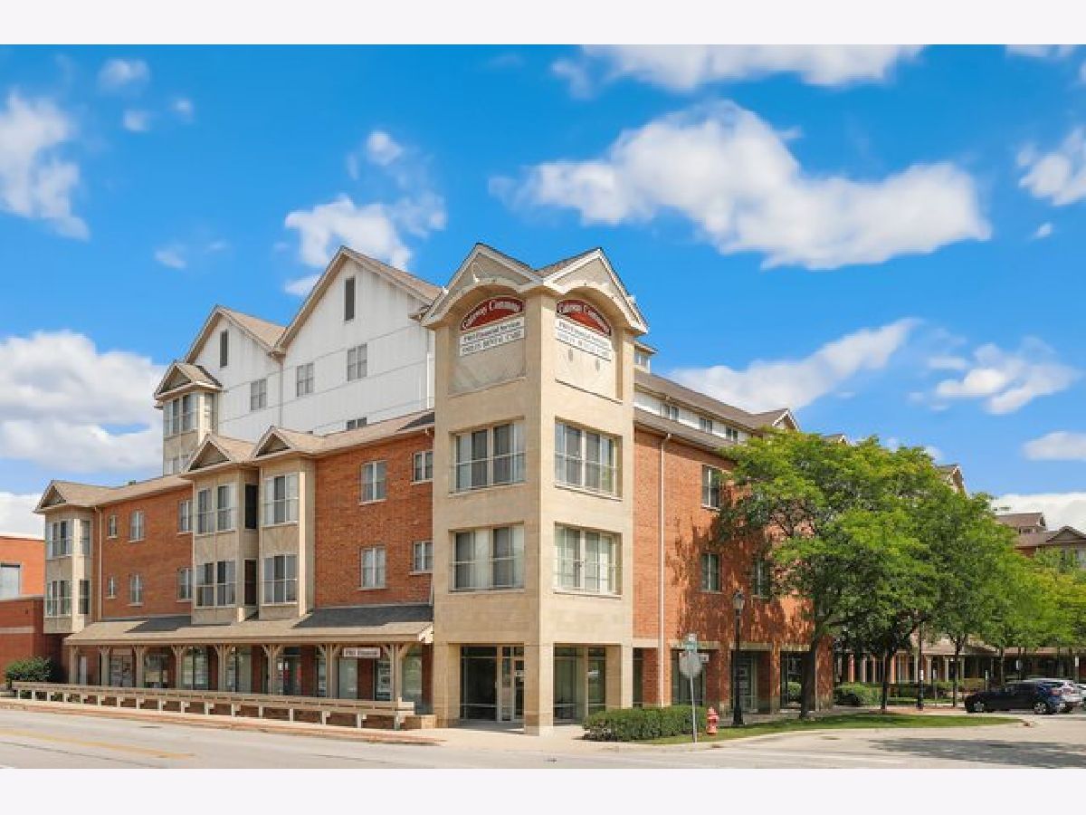 Condominiums Sold Gateway Commons Roselle Illinois, 50 Bokelman