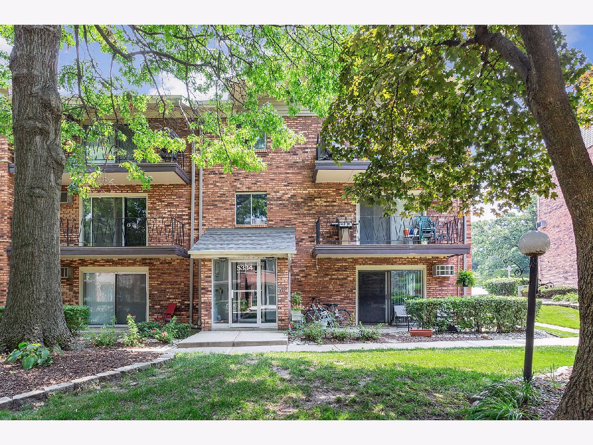 Condominiums Sold Waterbury Crestwood Illinois, 5334 Waterbury