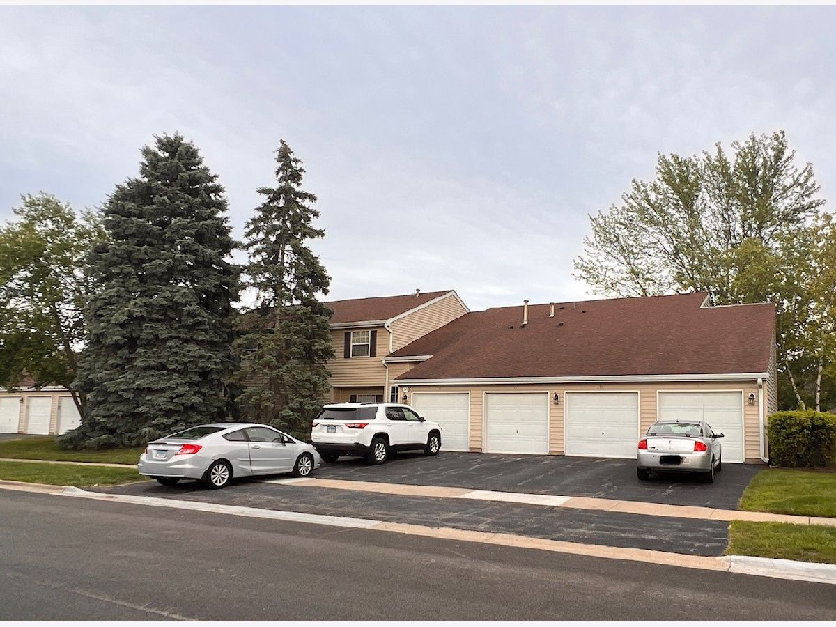 Condos & Townhomes Sold Victorian Park Streamwood Illinois, 549 Shag Bark