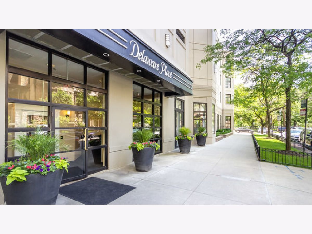 Condos & Townhomes Rented Delaware Place Chicago Illinois, 33 Delaware
