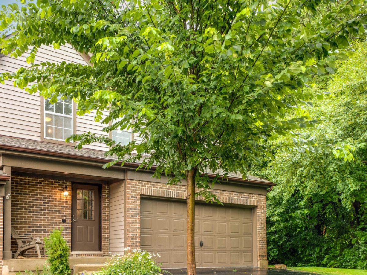 Townhomes & Homes Sold Old Oak Terrace Algonquin Illinois, 727 Longwood