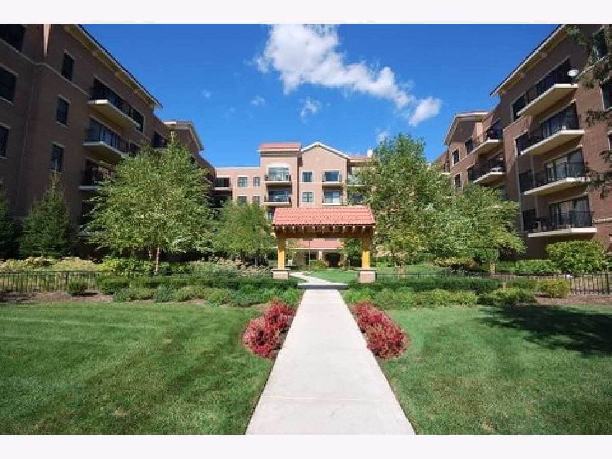 Condominiums Rented Arbor Court Oak Lawn Illinois, 5100 96th