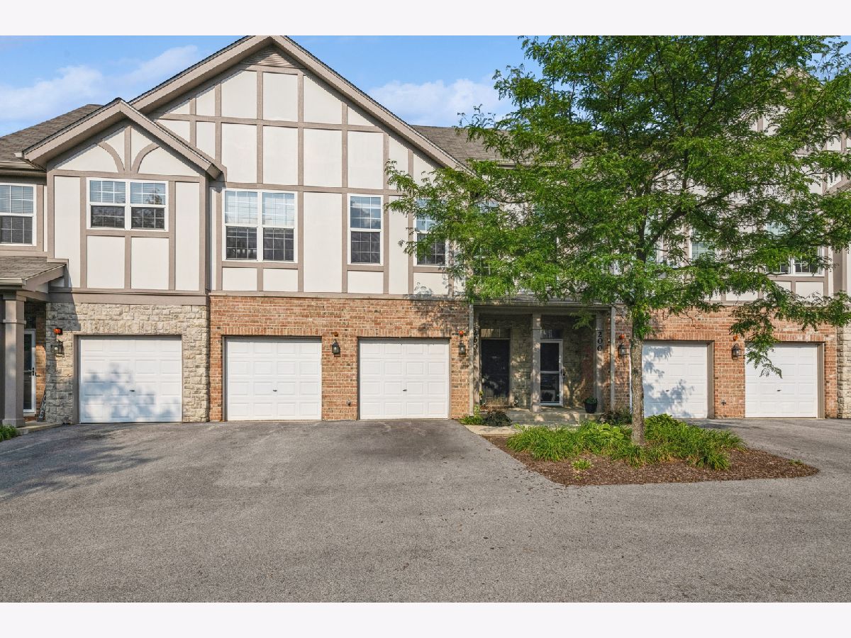 Townhomes & Condos & Homes Rented Concord Village Lake Zurich Illinois, 250 Rosehall
