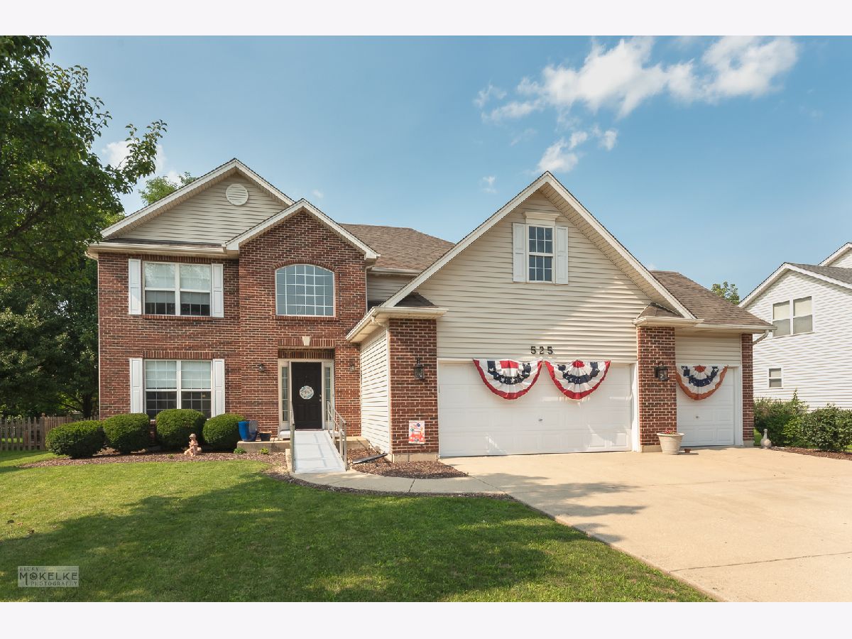 Homes & Townhomes Sold Morgan Crossing Oswego Illinois, 525 Chestnut