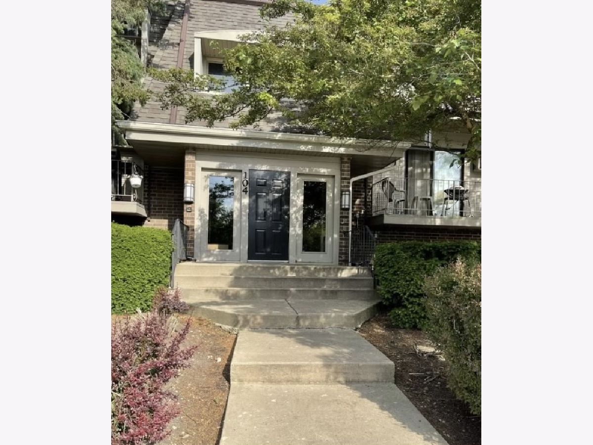 Condominiums Rented Olive Trees Naperville Illinois, 104 Bailey