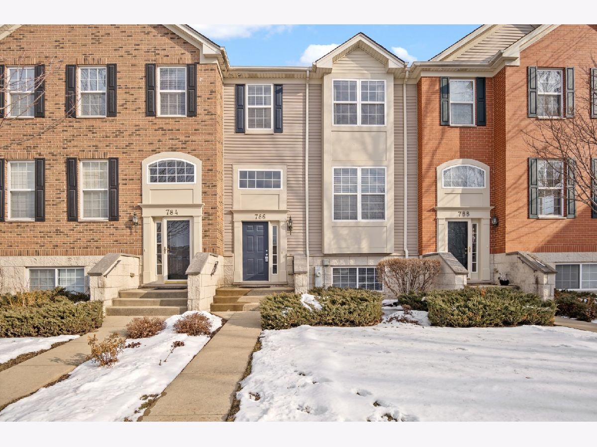 Townhomes & Homes Rented Castle Creek Bartlett Illinois, 786 Thornbury