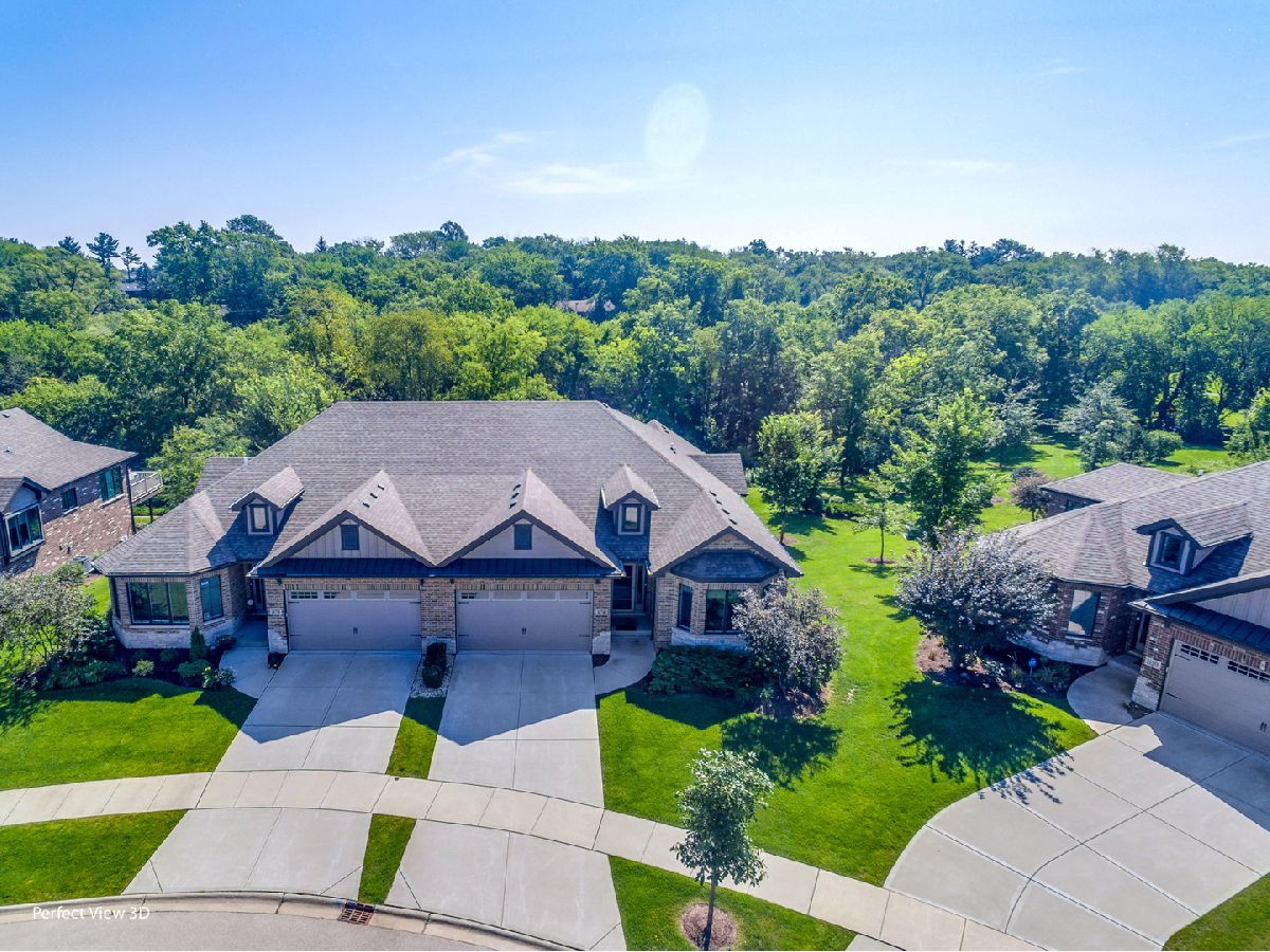Condos & Townhomes Sold The Villas Of Grasslands Orland Park Illinois, 16740 Pinecrest
