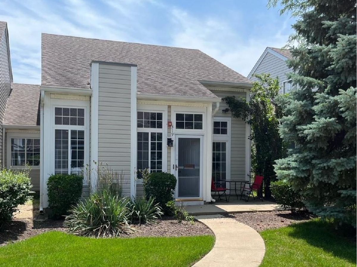 Townhomes & Condos Sold Summerwind North Aurora Illinois, 319 Victoria