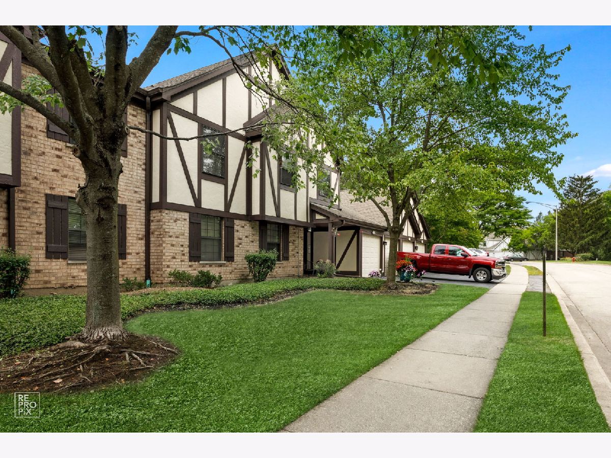 Elizabeth Park Wood Dale IL, Condos & Townhomes For Sale & For Rent