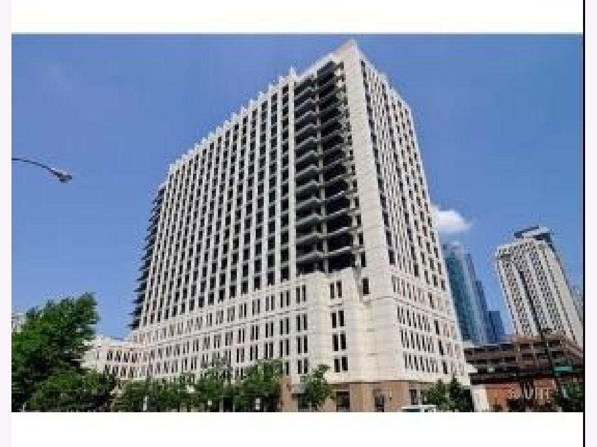 Condominiums Rented Vision On State Chicago Illinois, 1255 State
