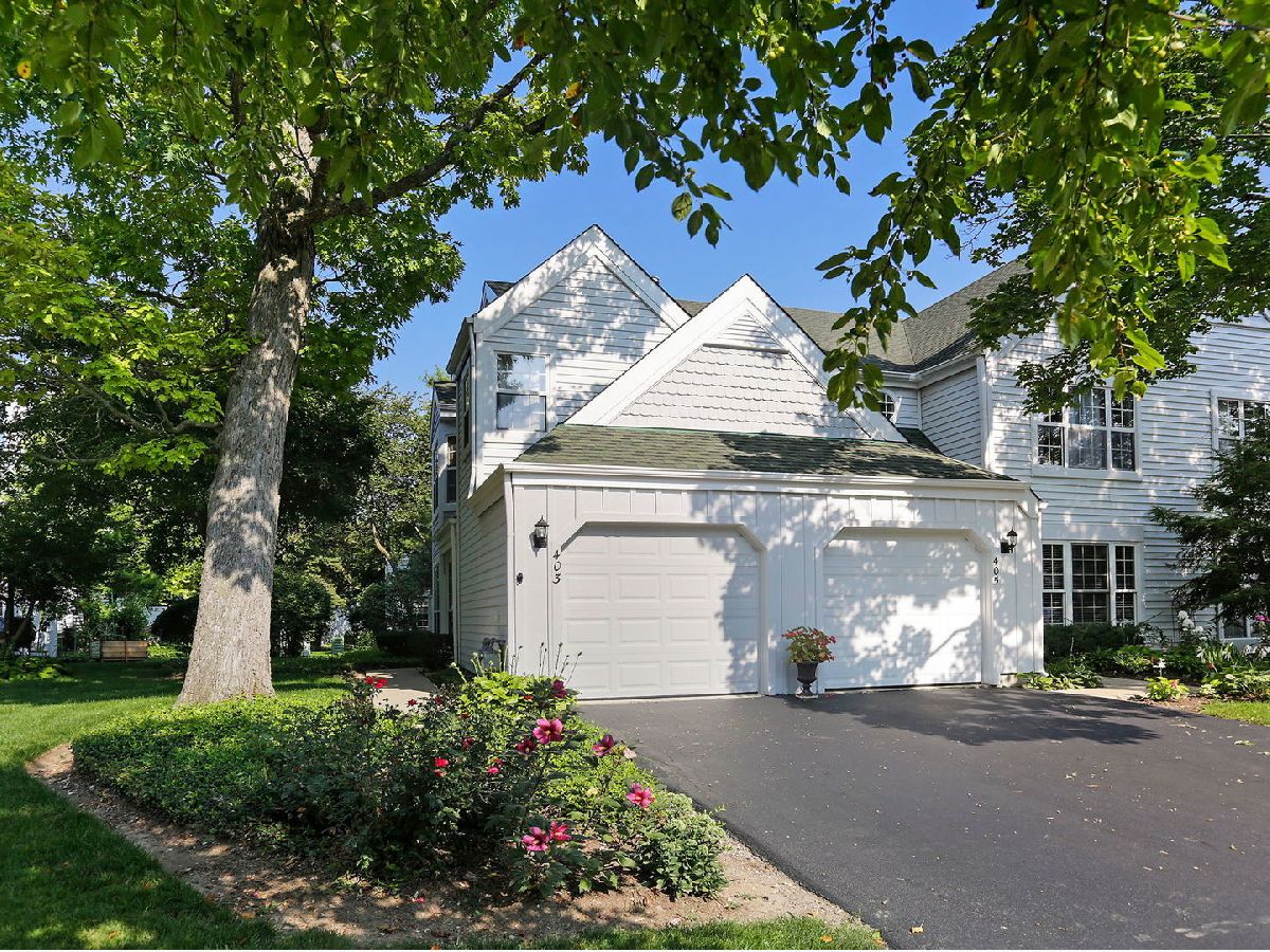 Townhomes & Condos & Homes Sold Lakepointe Wauconda Illinois, 403 Hill