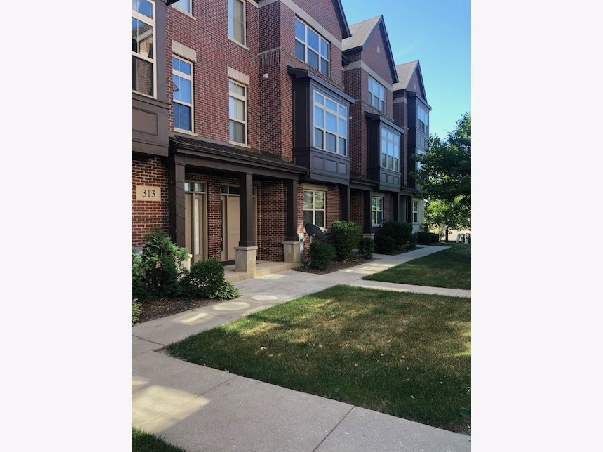 Townhomes Rented Aspen Pointe Vernon Hills Illinois, 309 Alpine Springs