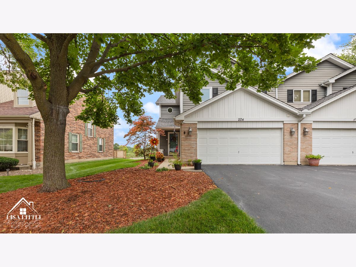 Townhomes & Condos Sold Carlton Court Westmont Illinois, 224 Carlisle