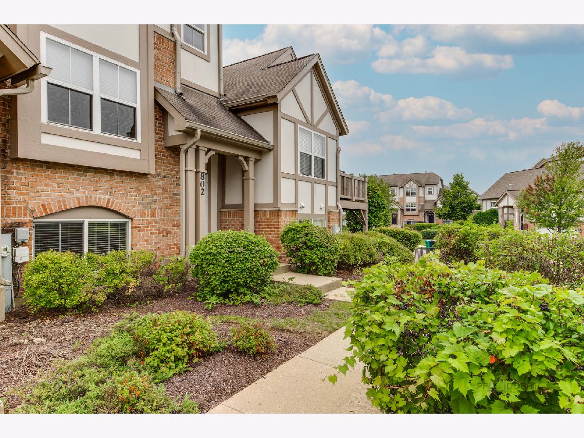 Townhomes & Condos & Homes Sold Concord Village Lake Zurich Illinois, 802 June