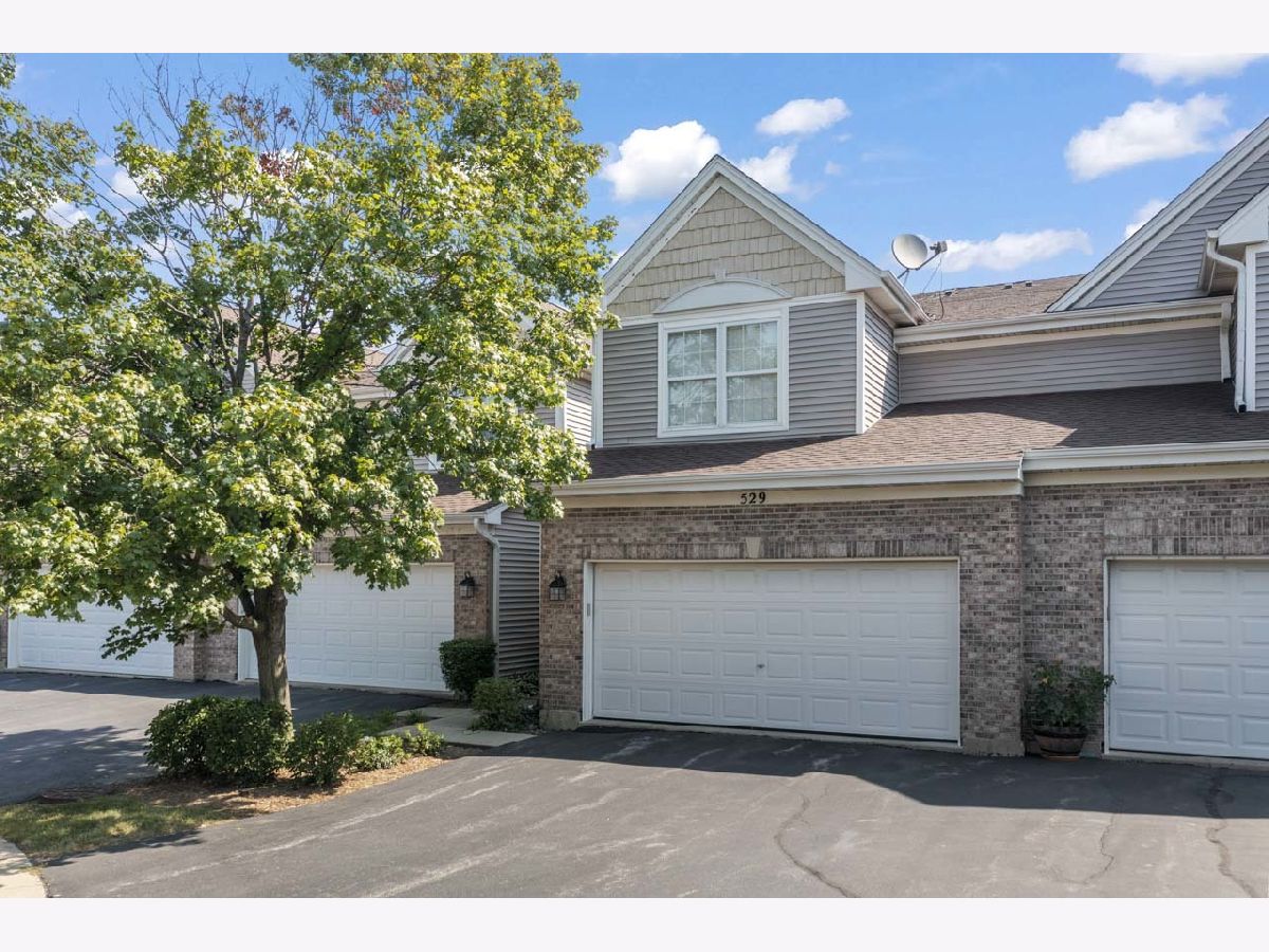 Townhomes & Homes Sold Cherry Hill Schaumburg Illinois, 529 Cherry Hill