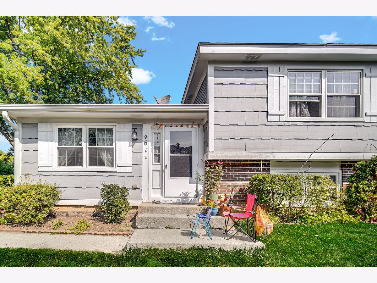 Homes & Condos & Townhomes Sold Indian Meadows Vernon Hills Illinois, 461 Tanglewood