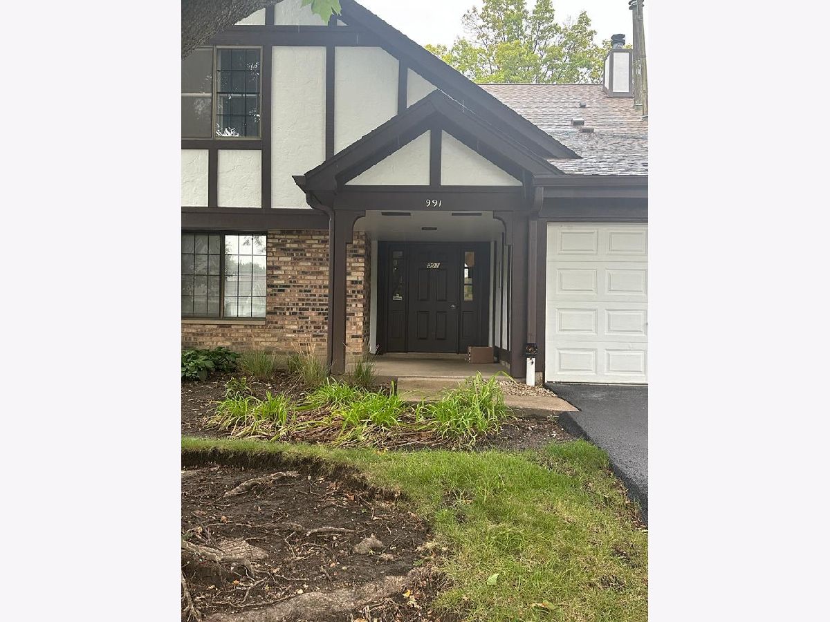 Condos & Townhomes Rented Trails Village Roselle Illinois, 991 Yosemite