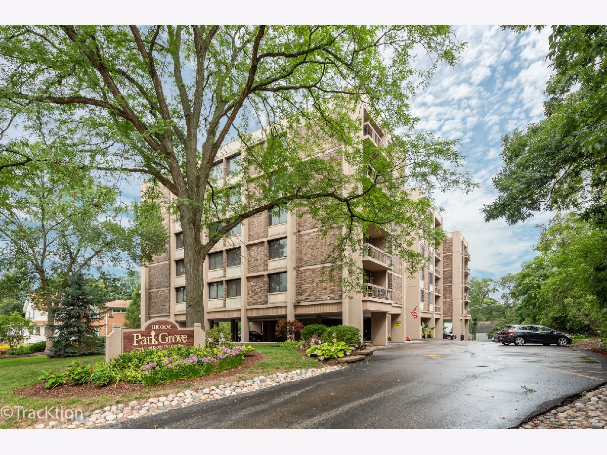 Condominiums Sold Park Grove Downers Grove Illinois, 1110 Grove