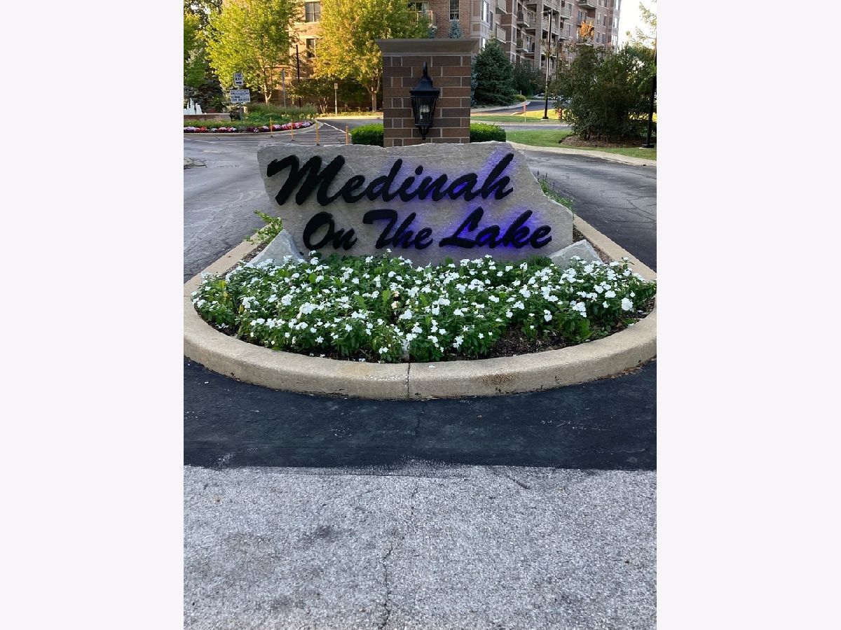 Condominiums Sold Medinah On The Lake Bloomingdale Illinois, 120 Lakeview
