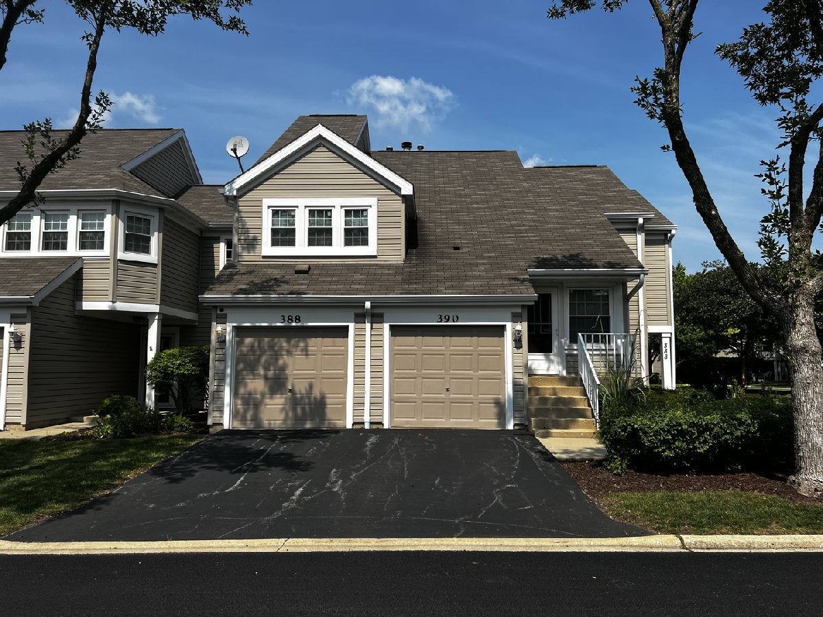 Townhomes & Condos Sold Steeplechase Carol Stream Illinois, 388 Kildare