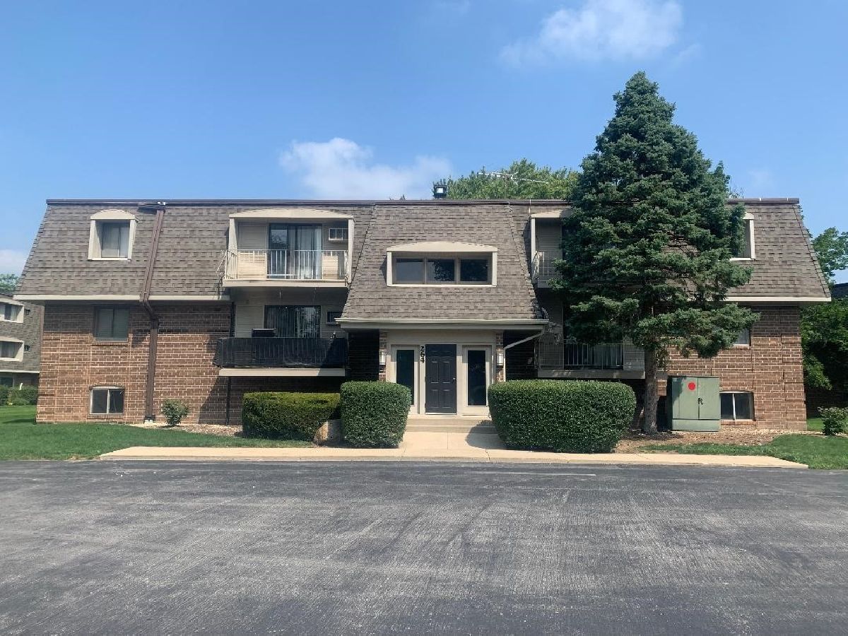 Condominiums Rented Olive Trees Naperville Illinois, 264 Bailey