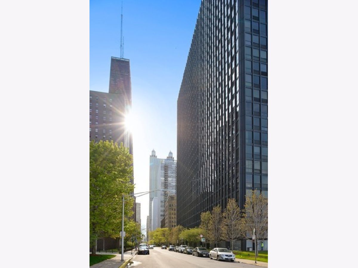 Condominiums Rented Mies Van Der Rohe Chicago Illinois, 900 Lake Shore