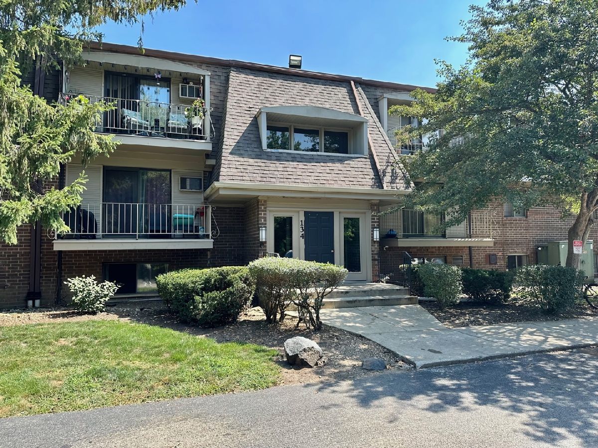 Condominiums Rented Olive Trees Naperville Illinois, 134 Bailey