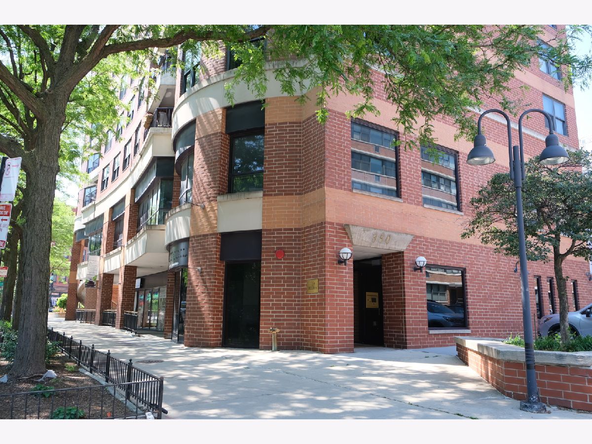 Condominiums Sold Belden Centre Chicago Illinois, 350 Belden