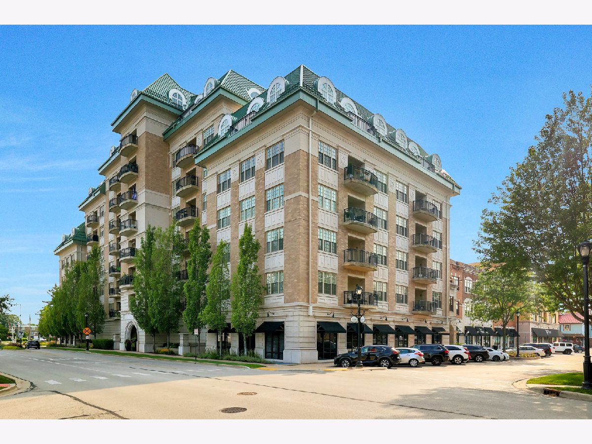 Condominiums Sold The Providence Palatine Illinois, 50 Plum Grove