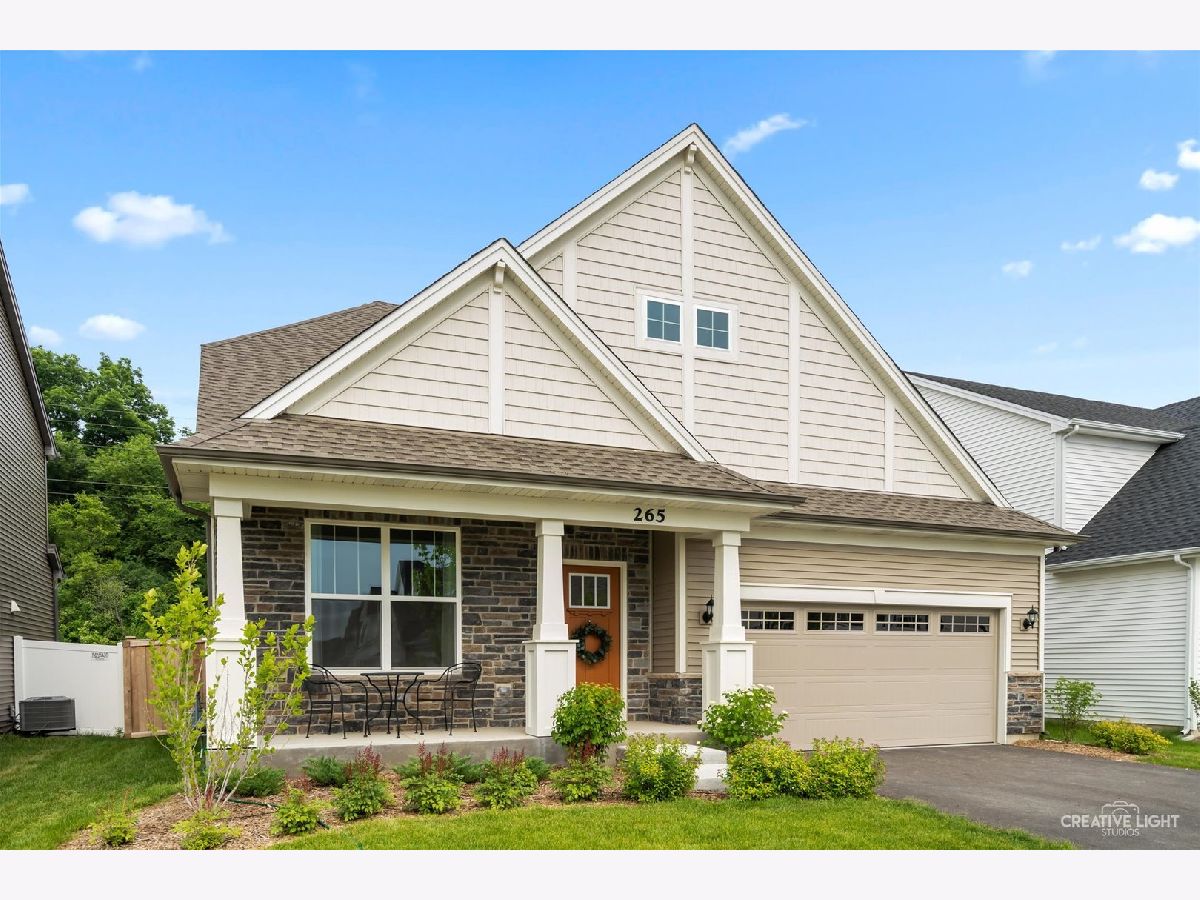 Homes & Condos & Townhomes Sold South Pointe South Elgin Illinois, 265 South Pointe