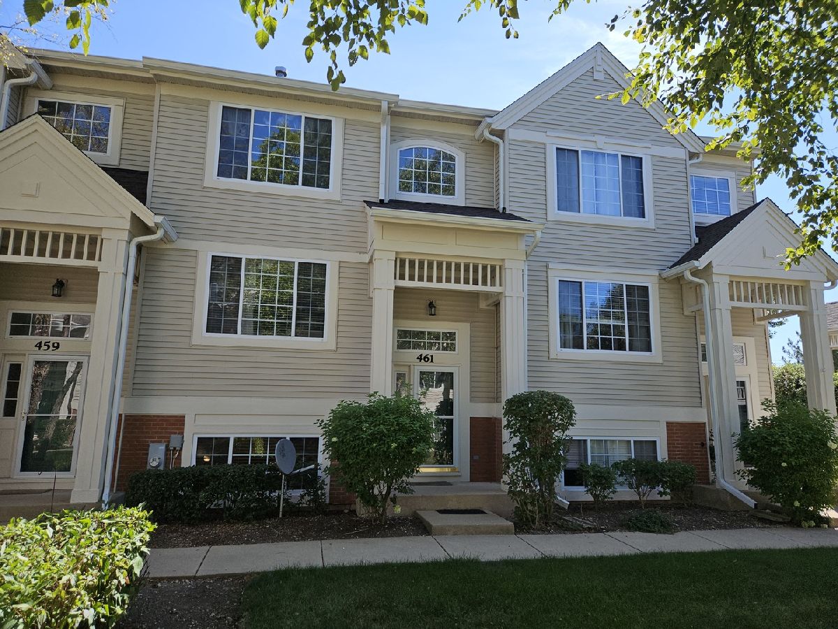 Townhomes & Condos & Homes Sold Cary Woods Cary Illinois, 461 Cary Woods