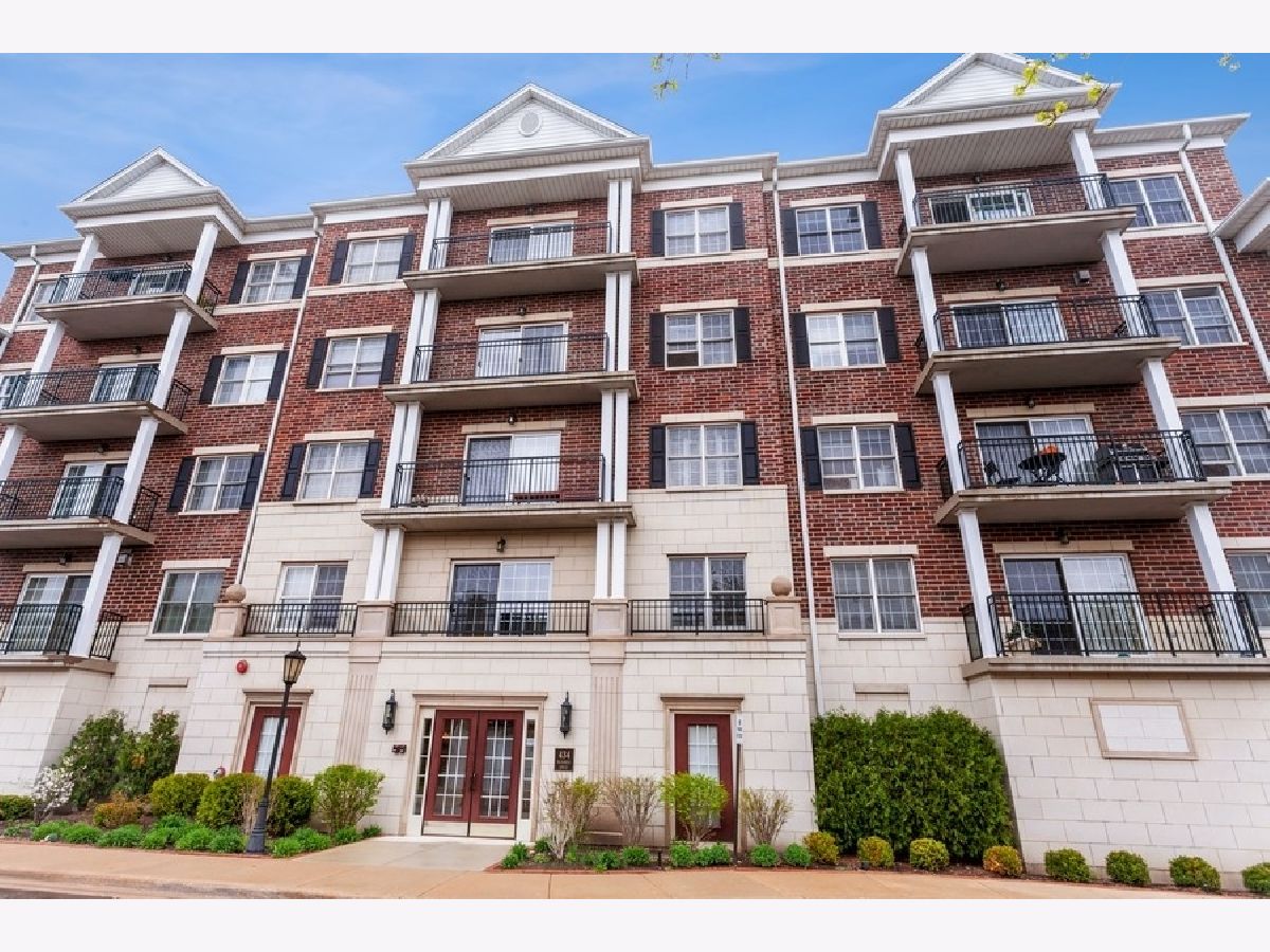 Condominiums Rented Park Avenue Station Clarendon Hills Illinois, 434 Mcdaniels