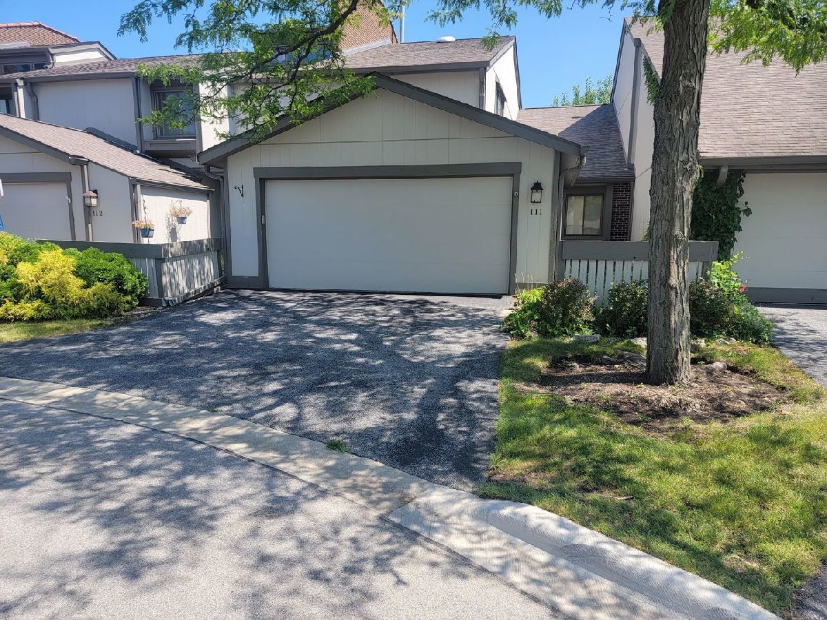 Townhomes & Condos & Homes Sold Meadow Edge Rolling Meadows Illinois, 111 Chicory
