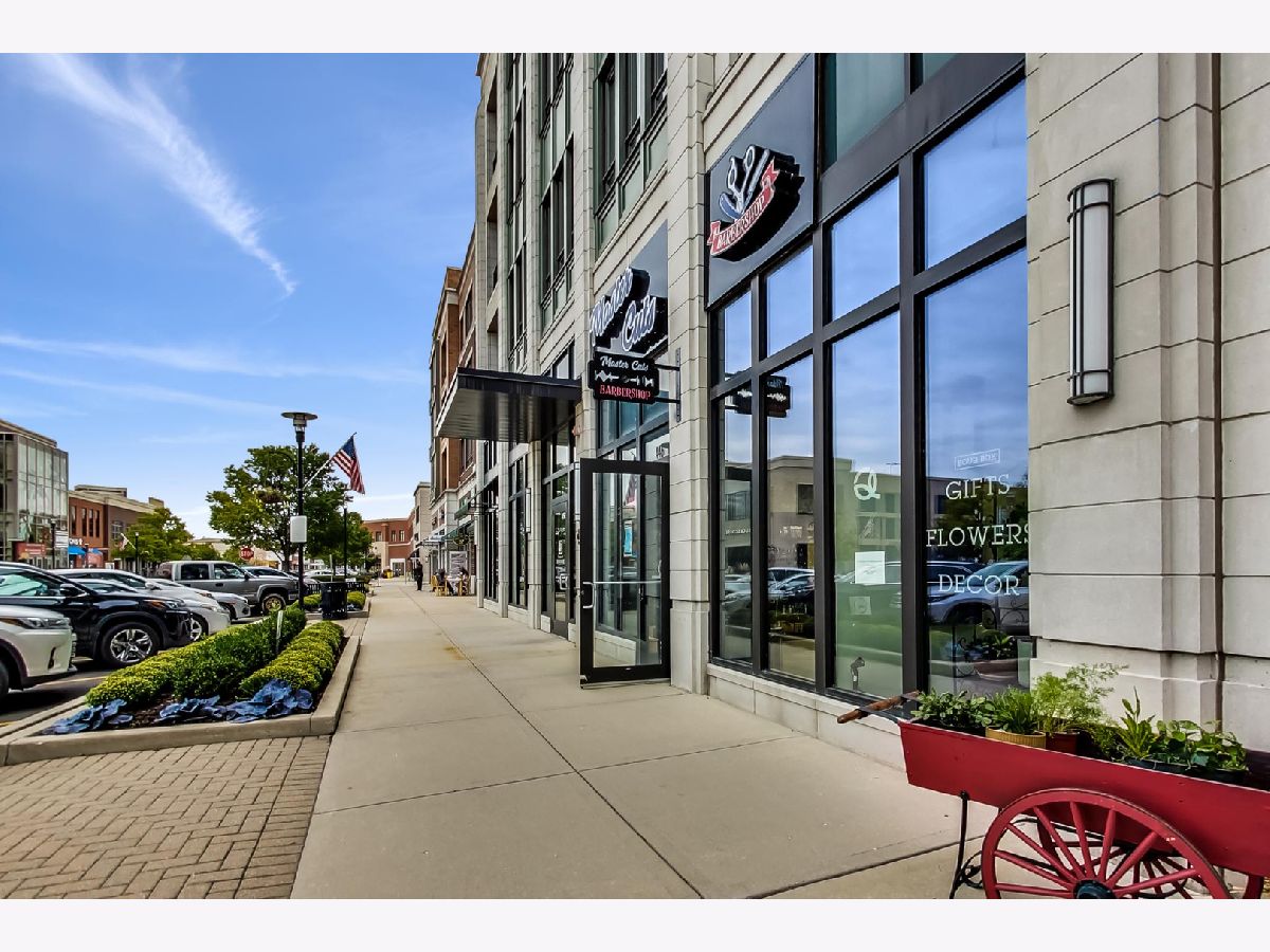 Condominiums Sold Burr Ridge Village Center Burr Ridge Illinois, 450 Village Center