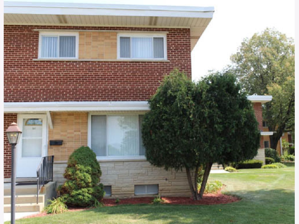 Homes & Townhomes & Condos Sold Lions Park Mount Prospect Illinois, 501 Lincoln