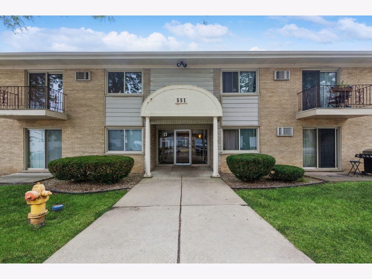 Condominiums Sold Park Willow Clarendon Hills Illinois, 551 Carlysle
