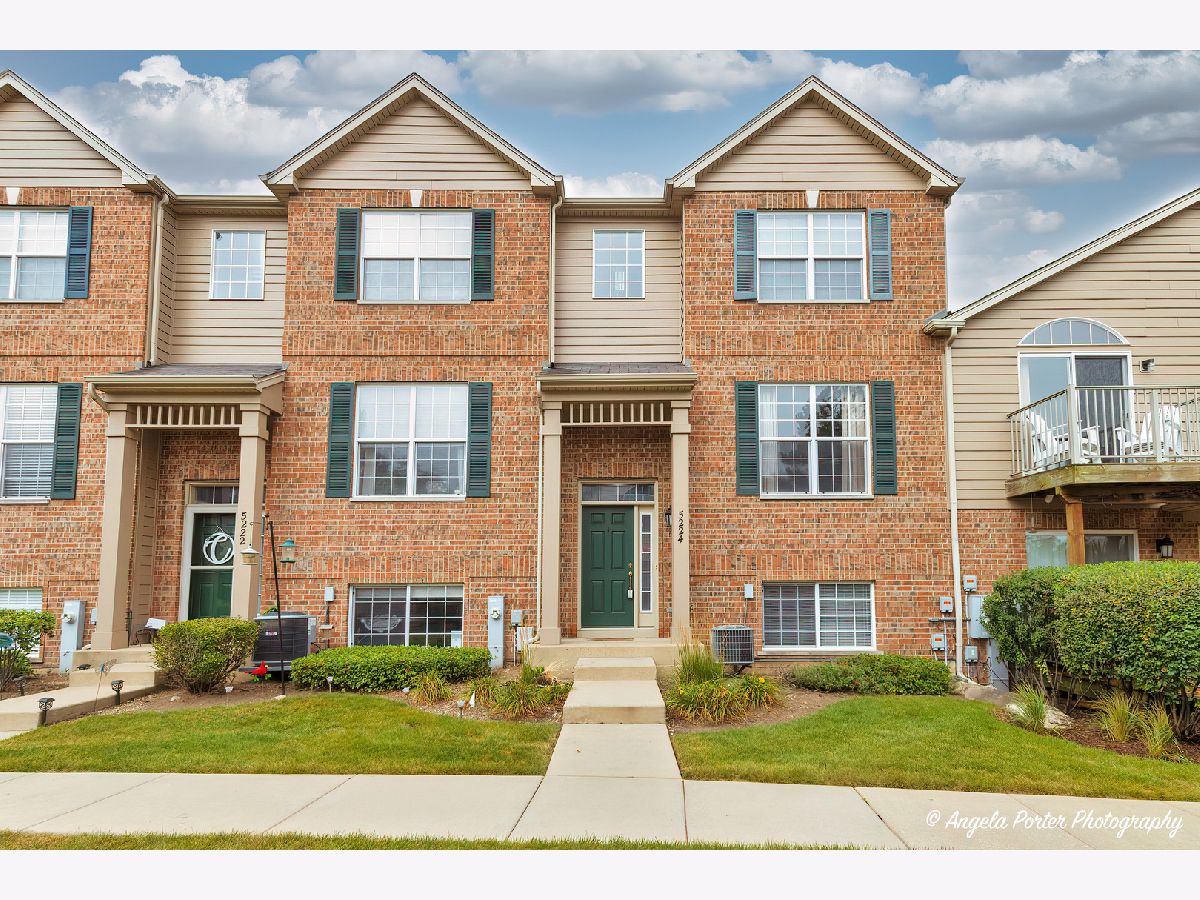 Townhomes & Condos & Homes Sold Abbey Ridge Mchenry Illinois, 5224 Cobblers