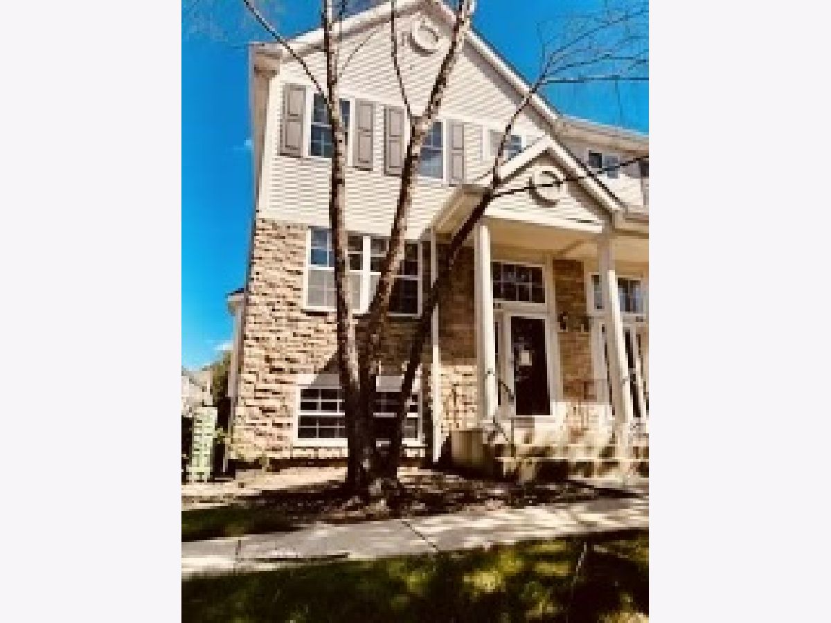 Townhomes & Homes Rented Insignia Court Palatine Illinois, 880 Insignia