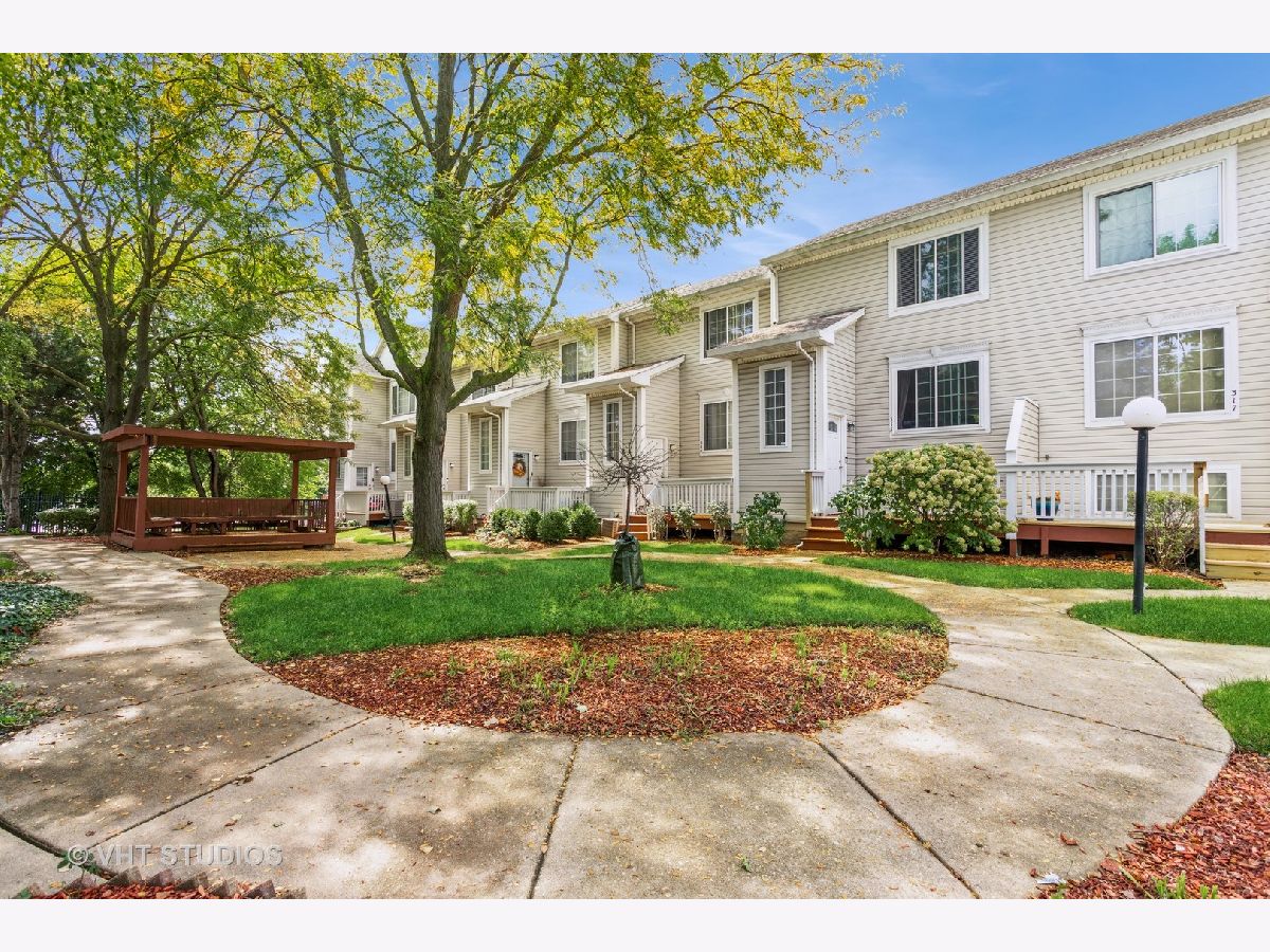 Townhomes & Condos Sold Town Centre Park Bolingbrook Illinois, 313 Arbor