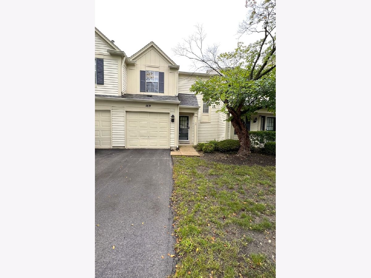 Townhomes & Condos & Homes Sold Diamond Bay Aurora Illinois, 169 Park Ridge