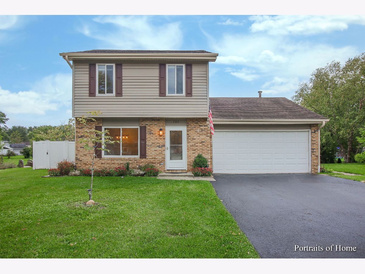Homes & Condos & Townhomes Rented Spring Hill Naperville Illinois, 725 Hageman