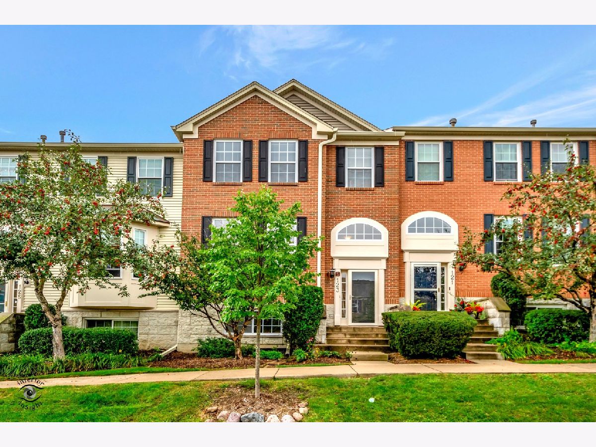 Townhomes Sold Renaissance Station Willow Springs Illinois, 123 Willow